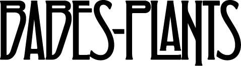 Coalition of Surf Clubs